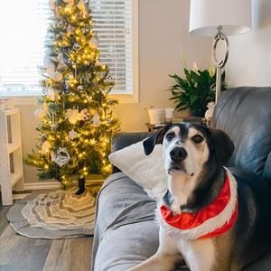 Meet your Posher, Alicia